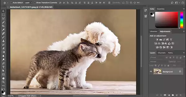 Adobe Photoshops