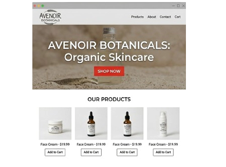 Avenoir Botanicals California Skincare Startup Brand Identity & Packaging Design Case Study before