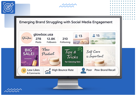 The Client An Emerging Brand Targeting the US Audience