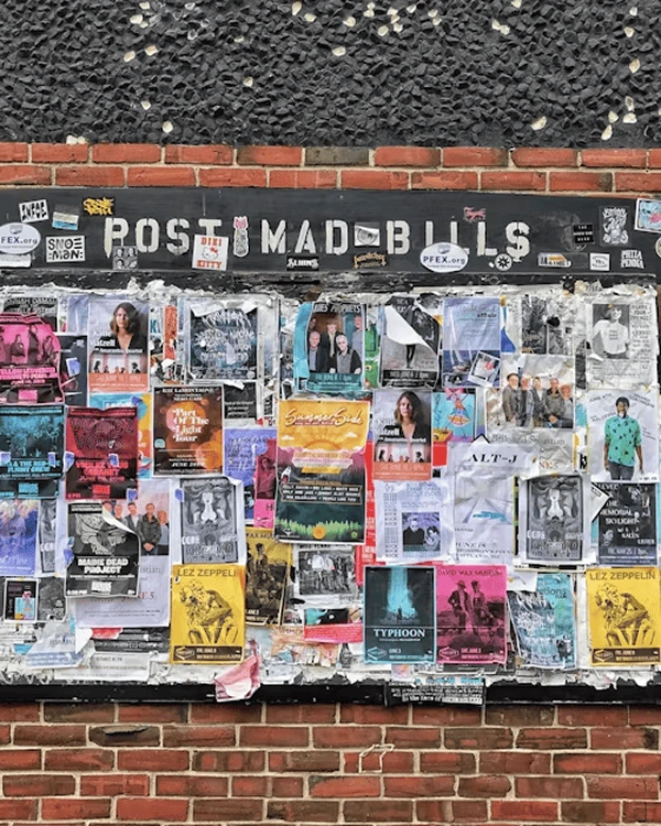 Which Types of Posters are Most Used Today
