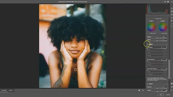 colors slider in details option in Adobe Photoshop