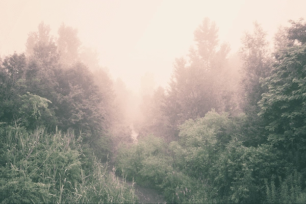 how to edit overexposed photos