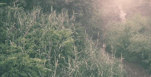 how to fix an overexposed photo